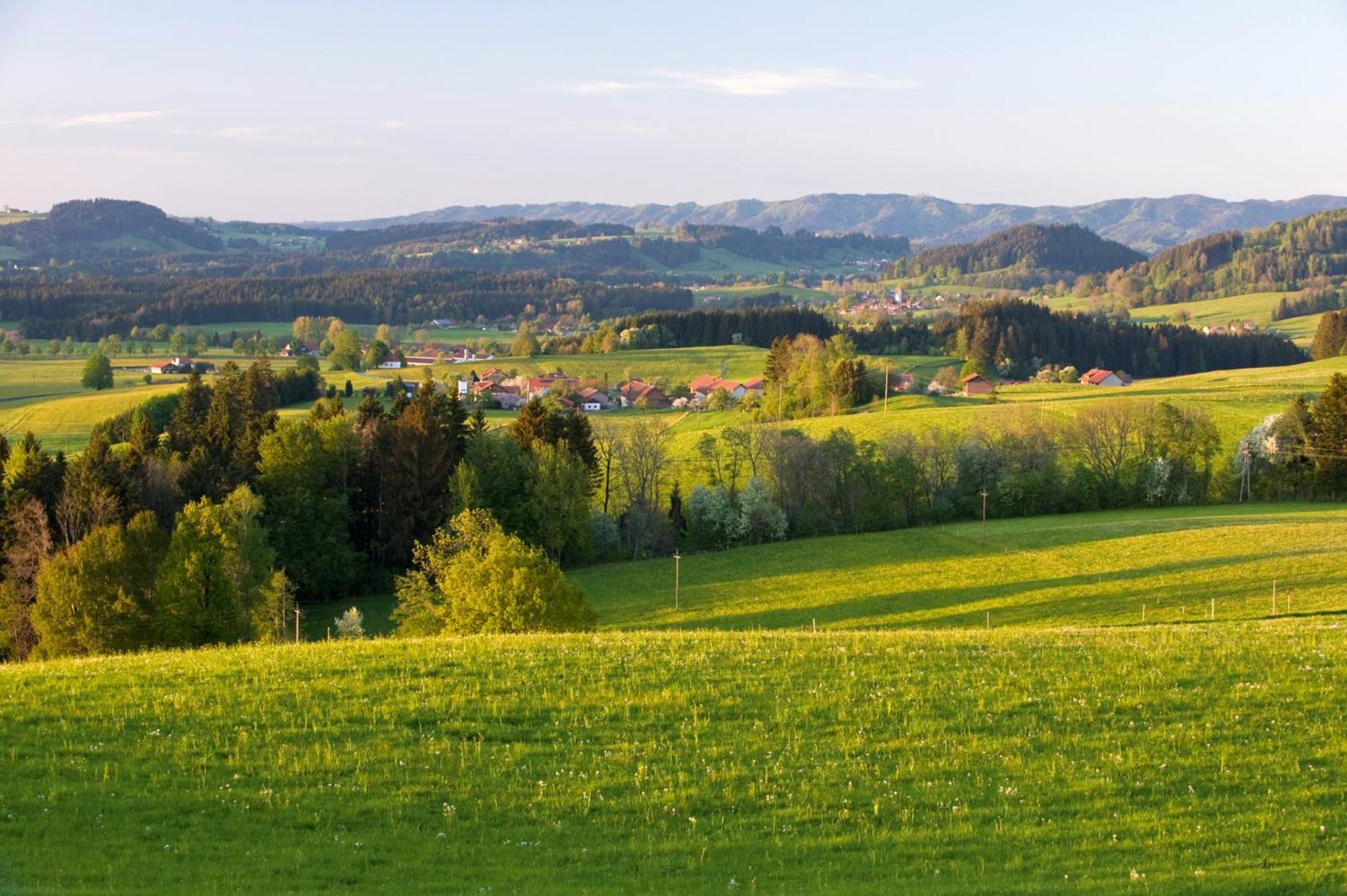 Allgaeu-Glueck Gruenenbach Grunenbach ภายนอก รูปภาพ